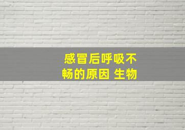 感冒后呼吸不畅的原因 生物